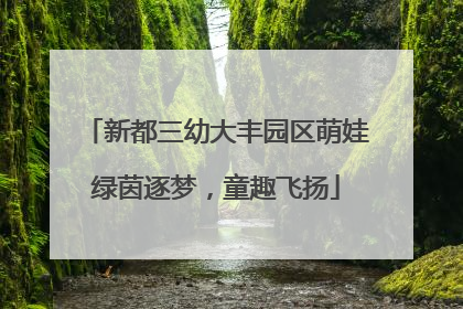新都三幼大丰园区萌娃绿茵逐梦，童趣飞扬